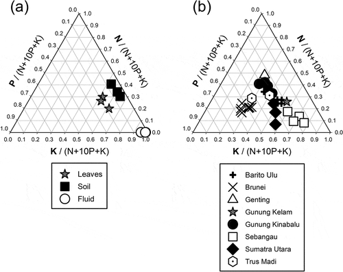 Figure 3. Ternary diagrams of (a) ratios of nitrogen, phosphorus and potassium in soil, leaves and pitcher fluid of Nepenthes clipeata on Gunung Kelam, West Kalimantan, Indonesia, and (b) a comparison of leaves between eight sites in Sundaland. Data are sourced from Brearley (unpubl. data) for Barito Ulu, Osunkoya et al. (Citation2007, Citation2008)) for Brunei, Brearley (Citation2021) for the Genting Highlands, van der Ent et al. (Citation2015, pers. comm.) for Gunung Kinabalu and Trus Madi, Brearley and Mansur (Citation2012) for Sebangau and Mansur (unpubl. data) for Sumatra Utara.