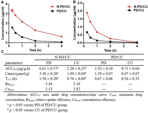 Figure 7 Joints concentration-time curves of N-PD/CU and PD/CU. (A) Concentration-time curves of PD. (B) Concentration-time curves of CU. Data represent the mean ± SD (n=5). (C) Pharmacokinetic parameters of N-PD/CU and PD/CU (n=5).