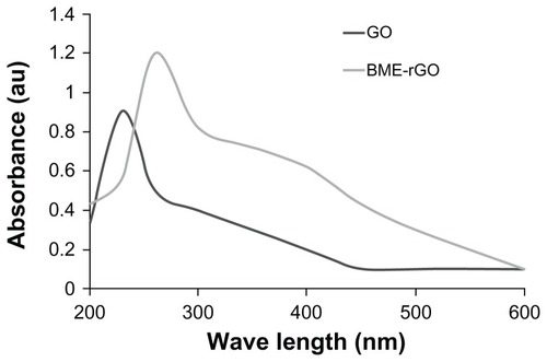 Figure 2 Ultraviolet-visible (UV-Vis) spectra of GO and rGO showing the restoration of electronic conjugation in the rGO.Notes: The reduction was measured by UV-Vis spectroscopy at ambient temperature by using a UV-Vis spectrophotometer. GO shows two absorption peaks: one at ~230 nm and another shoulder at ~300 nm. After reduction by BME, the peak at 230 nm shifted to 260 nm.Abbreviations: GO, graphene oxide; rGO, reduced graphene oxide; BME, betamercaptoethanol.