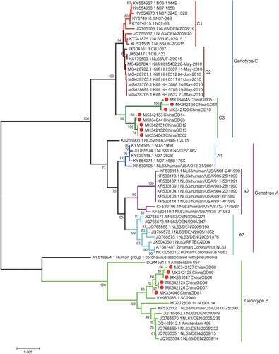 Figure 3. Phylogenetic analyses based on partial spike genes of HCoV-NL63 identified in this study. Fourteen HCoV-NL63 spike gene partial sequences detected in this study were used for phylogenetic analysis by MEGA 7.0 software using Neighbour-joining method and further confirmed the presence of new subgenotype of HCoV-NL63. Bootstrap values greater than 60% were considered statistically significant for grouping.