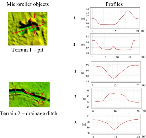 Figure 13. Measured profiles of analysed microrelief objects.