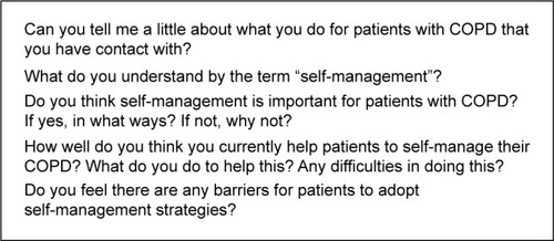 Figure 1 Example questions from the interview schedule.