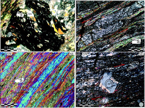 Figure 8. Petrographical features of the Madonna di Polsi Unit (a) Inclusion trails within garnet porphyroclast of the MPU (nicols +); (b)Intrafoliar folds within mylonitic levels (MPU) (nicols +); (c) Oblique foliation given by the preferential elongation of new forming quartz grains within pseudomorphosed ribbon-like quartz level (MPU) (nicols + with quartz wedge); (d) Mylonitic micaschist with σ-type plagioclase porphyroclast and SC structure consistent with a top to NE sense of shear (MPU) (nicols +).