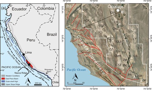 Figure 1. Location maps of the present study. (a) Sketch map of the major structural trends and basins of coastal Peru redrawn and modified from CitationTravis et al. (1976) and CitationThornburg and Kulm (1981). The boxed area indicates the region of the EPB discussed in this paper. The black square shows position of (b) in the EPB; (b) annotated air photo showing location of the study area (outlined by a white frame), the NW-trending belt of uplifted basement rock along the southwestern side of the EPB known as the Outer Shelf High-Coastal Cordillera (red lines indicate main block-bounding normal faults), and localities mentioned throughout the text. The locality names are either official geographical names from the 1:100,000 scale base maps of Peru (sheets Lomitas 1741 and Ica 1742) or informal names assigned by CitationDeVries and Jud (2018). Abbreviations: Cerro Colorado (CC), Pampa Concha Roja (PCR), Cerro Queso Grande (CQG), Cerro Ballena (CBL), Cerro Blanco (CB), Cerro Hueco la Zorra (HZ), Cerro la Bruja (CLB), Yesera de Amara (YA), Las Tres Piramides (TP), Cerro la Yesera (LY), Cadenas de los Zanjones (CZ), Cerro Mama y la Hija (CMH), Zamaca (ZM), Cerro Tiza (CTZ), Piedra Negra (PN), Lomas de Amara (LA), Pampa de la Averia (PA), Gramadal (GR), Canyon de los Perdidos (CP), Laguna Seca (LS), Cerro Sichuita (CS), Laberinto (LB). Black lines A-A′ and B-B′ are lines of geologic cross sections.