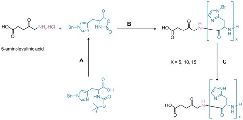 Figure 1 Synthesis procedures of ALA-p(His) by ring-opening polymerization of Bn-His-NCA, followed by deprotection: (A) PCl5, 1,4-dioxane; (B) N, N′-dimethylformamide; and (C) HBr/AcOH, TFA at 0°C.