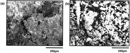 Figure 6. SEM micrographs. (a) Exposure of PMMA sample during 3 months at UA location. (b) Particle collected on sample holder and deposited on copper substrate.