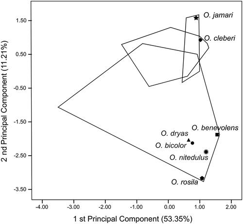 Figure 10. Scatterplot of the first (PC1) and second (PC2) principal component analysis (PCA) of 31 log-transformed craniodental measurements of Oecomys jamari sp. nov., O. bicolor lato sensu, and O. cleberi lato sensu analysed in this study.