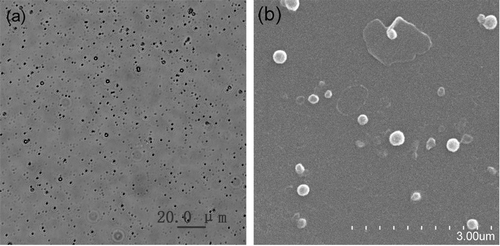 Figure 1.  Micrographs of NFX-SLN: (a) optical microscope (400×); (b) scanning electron microscope (15000×)