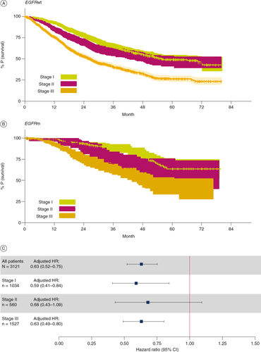Figure 3. Overall survival as determined from EHRs of patients with stage I–III NSCLC and known EGFR status. (A & B) Kaplan–Meier plots showing the overall survival calculated from EHRs from patients with stage I, II or III NSCLC that was (A) EGFRwt or (B) EGFRm. Colored bands represent 95% CI. (C) HR and confidence bounds stratified by stage and adjusted for gender, age at initial diagnosis, ethnicity, smoking history and whether the patient record reported surgery for the purpose of resection (within 16 weeks of initial diagnosis). The Cox proportional model for all patients has stage included as a covariate in addition to all other covariates. A HR below 1 indicates lower risk of mortality (longer overall survival) for patients with EGFRm compared with EGFRwt NSCLC.EGFRm: EGFR-mutation positive; EGFRwt: EGFR wild-type; EHR: Electronic health record; HR: Hazard ratio; NSCLC: Non-small-cell lung cancer.