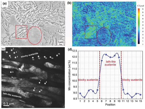 Figure 11. SEM and TEM micrograph of 1.5Al-650 sample and the corresponding carbon concentration and manganese partitioned in blocky austenite and lath-like austenite by EPMA and TEM-EDS. (a) Micrograph of 1.5Al-650 sample, (b) distribution of carbon correspond to the micrograph in figure (a) by EPMA, (c) TEM micrograph of 1.5Al-650 sample, (d) manganese-concentration correspond to the micrograph in figure (c) by TEM-EDS.