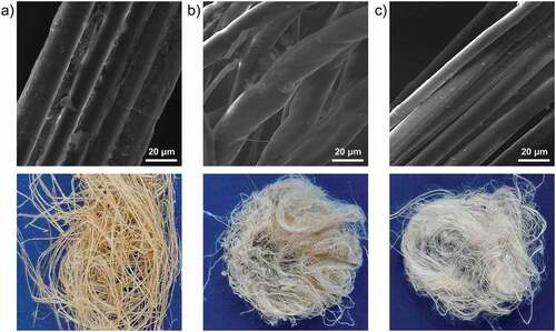 Figure 2. SEM (top) and digital (bottom) images of samples a) F, b) Fal, and c) Fox.