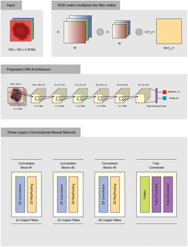 Figure 2. Proposed approach for skin cancer classification using DCNNs.