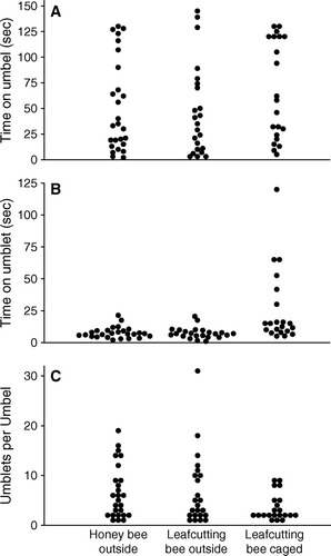 Fig. 1  Individual observations (one dot is one observation) of honey bees (n = 12) and alfalfa leafcutting bees outside (n = 14) and inside cages (n = 12) of total time spent on an umbel (A) or umblet (B), and number of umblets visited per umbel (C). The numbers of observations are greater than the sample size because some bees visited more than one umbel during the observation period.