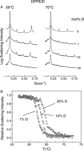 Figure 4.  (A) Static small-angle X-ray diffraction patterns of dipalmitoylphosphatidylethanolamine containing 0, 1, 10 and 20 mol% dolichol C95 at 58°C (a) and 70°C, respectively. (B) Normalized X-ray scattering intensities of the wide-angle peaks centred at 0.43nm recorded from mixed aqueous dispersions of DPPE containing 1 (□);10 (○); 20 (Δ) mol% dolichol C95.