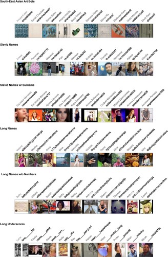 Figure 5. Fixity and flexibility in the account name patterns and profile images of shared porn bot followers identified through network analysis.