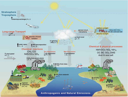 Figure 2. Air quality and climate connections, following Figure 2 of Isaksen et al. (Citation2009), Table 1 of Jacob and Winner (Citation2009), and Table 1 of Fiore et al. (Citation2012). Anthropogenic and natural emitted species include CH4, CO, NMVOC, NOx, SO2, NH3, OC, BC, dimethyl sulfide (DMS; from oceanic biota), mineral dust, and sea salt. Orange text describes atmospheric processing (formation, removal, and transport) of air pollutants. Black text with black arrows indicates the sensitivity of these processes to climate warming; thinner arrows denote lower confidence or regional variability in the sign of the change (increase is up; decrease is down; double-headed arrow implies no clarity on the sign of change) in response to a warming climate. Dual black symbols in the parentheses indicate how (O3, PM) respond to the change indicated for each process (for double-headed arrows, the (O3, PM) response denoted is for an increase in the process): ++ consistently positive, + generally positive, = weak or variable; - generally negative, – consistently negative, ? uncertainty in the sign of the response, and * the response depends on changing oxidant levels. Not shown are primary biological aerosol particles (PBAP; e.g., pollen, fungi, bacteria, algae, and viruses), which may affect climate (Després et al., Citation2012).