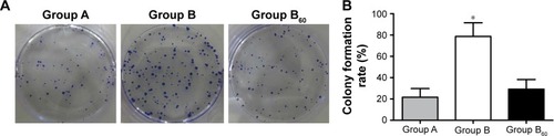 Figure 3 Effects of resveratrol on malignant proliferation of A549 cells. (A) soft agar clone; (B) colony formation rate. *P<0.01 when compared with the other two groups.