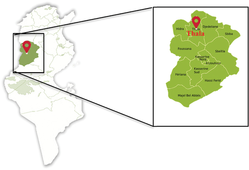 Figure 4. Geographic location of Thala.