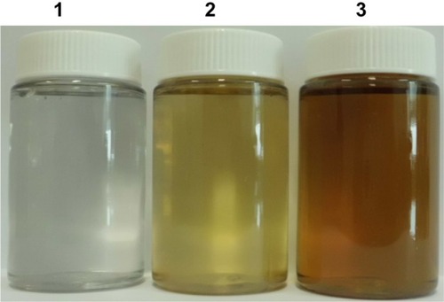 Figure 1 Synthesis of silver nanoparticles (AgNPs) using Ganoderma neo-japonicum extract. The photo shows containers with samples of AgNO3 (1), G. neo-japonicum mycelia extract (2), AgNO3 with the G. neo-japonicum mycelia extract (3). after exposure for 24 hours the color of the solution turned from colorless to brown, indicating the formation of AgNPs.