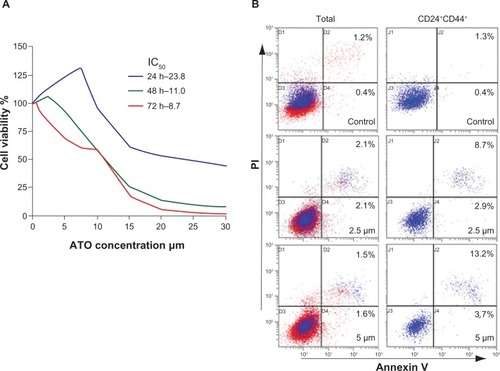 Figure 1 Arsenic trioxide induced apoptosis in CD24+CD44+ SW1990 cells.