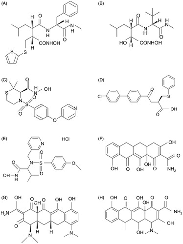 Figure 2. Chemical structure of Batimastat (A) [according toCitation45], Marimastat (B) [according toCitation45], Prinomastat (C) [according toCitation46], Tanomastat (D) [according toCitation47], MMI 270B (E) [according toCitation48], Metastat (F) [according toCitation48], Minocycline (G) [according toCitation48], Doxycycline (H) [according toCitation48].