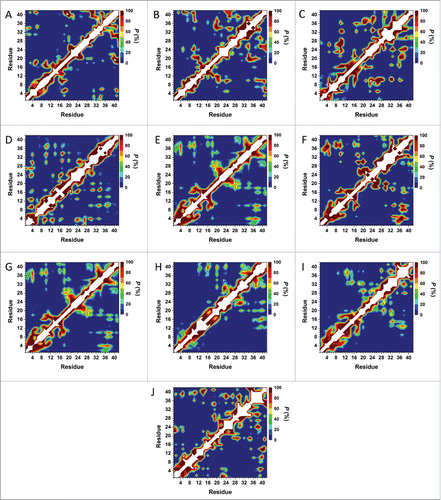 Figure 8. Tertiary structure properties simulated using AMBER FF99SB and CHARMM22/CMAP parameters in an implicit water environment. (A) Cluster 1 using AMBER FF99SB parameters, (B) Cluster 1 using CHARMM22/CMAP parameters, (C) Cluster 2 using AMBER FF99SB parameters, (D) Cluster 2 using CHARMM22/CMAP parameters, (E) Cluster 3 using AMBER FF99SB parameters, (F) Cluster 3 using CHARMM22/CMAP parameters, (G) Cluster 4 using AMBER FF99SB parameters, (H) Cluster 4 using CHARMM22/CMAP parameters, (I) Cluster 5 using AMBER FF99SB parameters, (J) Cluster 5 using CHARMM22/CMAP parameters.