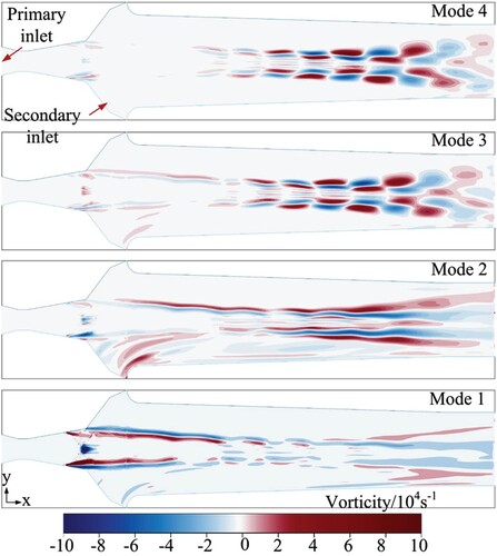 Figure 9. Sectional vorticity field mode.