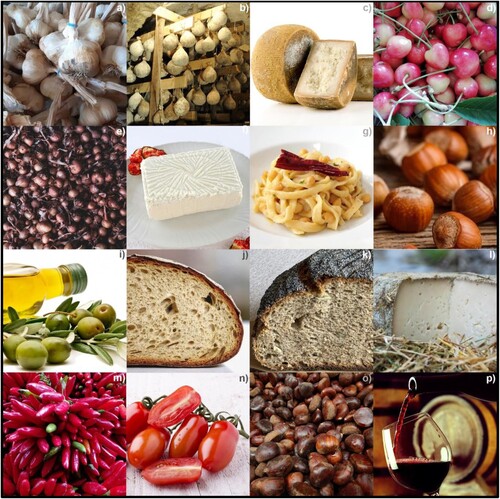 Figure 4. (a) Paternopoli garlic, (b) Caciocavallo Irpino, (c) Carmasciano, (d) Melella cherry. (e) Montoro onion. (f) Juncata Irpina, (g) Matasse Calitrane pasta, (h) Avellane hazelnuts, (i) Ravece olive oil, (j) Montecalvo bread, (k) Jummaro bread. (l) Pecorino Bagnolese cheese, (m) Peperoni Quagliettani, (n) San Marzano tomatoes, (o) Montella chestnuts, (p) Taurasi wine.