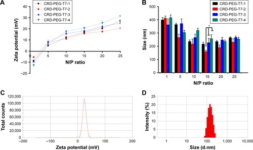 Figure 4 Particle size and zeta potential of the CRD-PEG-T7–pGL-3 complex at different N/P ratios.Notes: (A) Zeta potential and (B) particle size of the CRD-PEG-T7–pGL-3 complex at different N/P ratios. (C) Zeta potential distribution of the CRD-PEG-T7–pGL-3 complex at the N/P ratio of 15. (D) A typical size-distribution profile of the CRD-PEG-T7–pGL-3 complex at the N/P ratio of 15. Data are shown as the mean ± SD (n=3). *P<0.05, significant difference between these two groups.Abbreviation: CRD-PEG-T7, disulfide bonds cross-linked arginine-aspartic acid peptide modified with peptide T7.