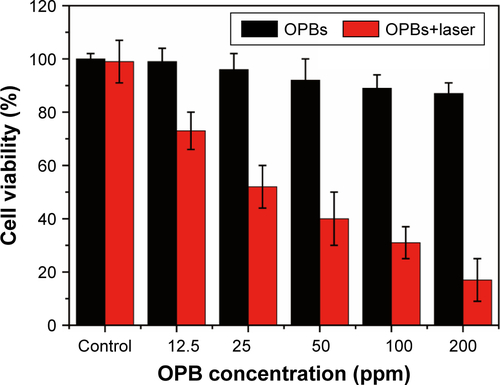 Figure S4 In vitro PTT effect.Note: Viability of 4T1 cells incubated with different concentrations of OPBs before and after irradiation for 5 minutes using an 808 nm laser at a power density of 0.8 W/cm2.Abbreviations: OPBs, optimized Prussian blue nanoparticles; PTT, photothermal therapy.