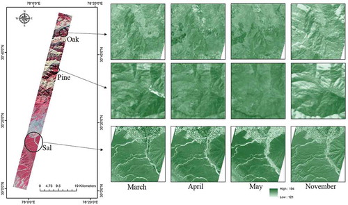 Figure 6. Temporal variation in NDVI data for different vegetation types in the study area.