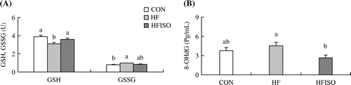 Fig. 4. Effects of the dietary isoflavone mixture on the liver glutathione (a) and the serum 8-hydroxy 2′-deoxyguanosine (b) levels.Notes: CON, basal diet group; HF, high-fat diet group; HFISO, isoflavone mixture-added high-fat diet group. GSH, glutathione reduced form; and GSSG, glutathione oxidized form.