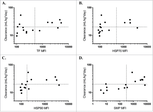 Figure 2. Chaperone proteins predict mouse clearance rates. Median fluorescence intensity (MFI) of trigger factor (A, Spearman's ρ = 0.43), HSP70 (B, Spearman's ρ = 0.60), HSP90 (C, Spearman's ρ = 0.65), or SMP (D, Spearman's ρ = 0.72) binding for each antibody correlates with mouse clearance rates from a previous study comparing SMP binding to mouse pharmacokinetics.Citation6