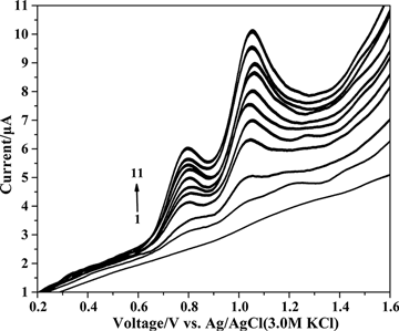 Figure 5. Differential pulse voltammograms on the glassy carbon electrode for various concentrations of dinonyl diphenylamine and butylated hydroxytoluene (µg mL−1) in supporting electrolyte. (1) 0, (2) 15.69, (3) 30.77, (4) 59.26, (5) 72.73, (6) 85.71, (7) 98.24, (8) 110.34, (9) 122.03, (10) 133.33, and (11) 144.26.