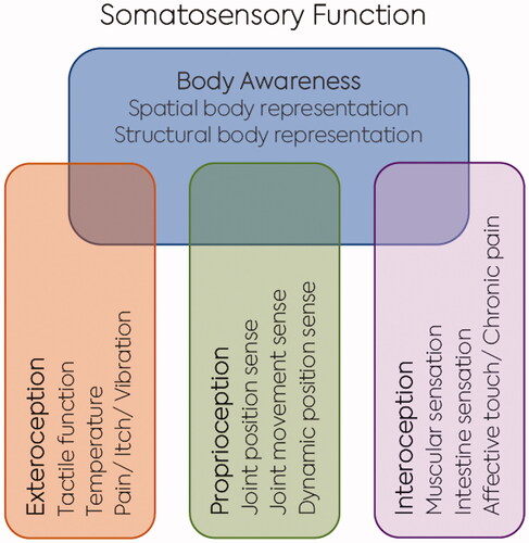 Figure 1. Categories and modalities of somatosensory function.Legend: Four categories of somatosensory function (body awareness, proprioception, exteroception, and interoception), with their modalities. Body awareness is influenced by proprioception, extero-, and interoception.