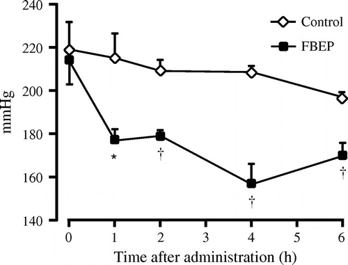 Fig. 1. Effect of a single oral dose of FBEP (2 g/kg body weight) on systolic BP.Notes: Values are expressed as mean ± SEM, n = 4; *p < 0.05; †p < 0.01 denote a significant difference when compared with the control group.
