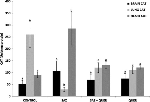 Figure 4. Effects of quercetin on brain, lung, and heart CAT activities in NaN3-treated rats.