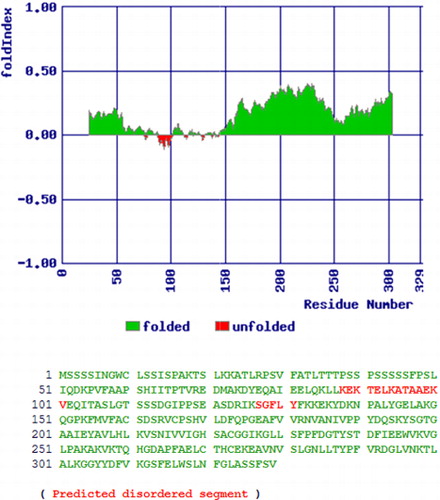 Figure 3. Predicted folding state of VuCAl. Positive and negative numbers represent ordered and nonordered protein respectively. Amino acids suggested in ordered and nonordered regions are shown toward positive and negative numbers, respectively.