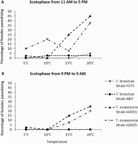 Figure 1. Percentage of female T. brassicace (strain Y175 and J007) and T. evanescens (strain GD011 and GD025) that parasitised eggs of the moth E. kuehniella at different temperatures during (A) 6 hours of scotophase from 11 AM to 5 PM and (B) 12 hours of scotophase from 9 PM to 9 AM the next day. In total, 40 two-days-old, mated females per strain were tested for each temperature treatment.