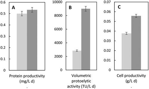 Figure 3. Extracellular protein productivity (A), volumetric proteolytic activity (B) and cell productivity (C) of Jacaratia mexicana cell culture in bioreactors: 0.4-L (■) and 4-L (■).