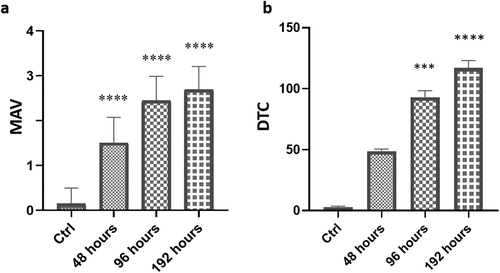 Figure 4. Mean Assessment Value (MAV) (a) and Degree of Tissue Changes (DTC) (b) in the liver of Danio rerio. Graphs indicate the mean ± S.D. Significant differences among the control group and treatment groups are indicated by (***) at p < 0.0002 and (****) at p < 0.0001.