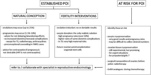 Figure 2. Fertility treatment plan for women with premature ovarian insufficiency (POI). TS, Turner syndrome; HRT, hormone replacement therapy.