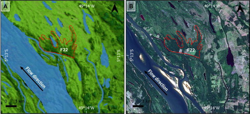 Figure 7. (#A) Crevasse splay in DEM image. (B) Crevasse splay highlighted by denser vegetation cover in Landsat 8 image true color (September 2018). Location in Figure 2.