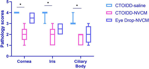 Figure 9 Comparison of pathology infiltration inflammation scores in three groups. Kruskal–Wallis test was used to compare the difference with a post hoc test. Values are given as the median (IQR), *p<0.05.