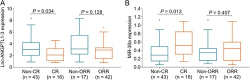 Figure 4. Associations of lnc-ANGPTL1-3 and miR-30a with treatment response in MM patients. The associations of lnc-ANGPTL1-3 expression (A) and miR-30a expression (B) with CR or ORR in MM patients.
