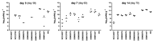 Figure 3. Transfer of the simplified microbiota from colonized mice to GF mice. Three GF male mice were introduced in the isolator containing mice from group D on day 56 post-inoculation. Individual bacterial strains were quantified by real-time PCR in feces collected at days 2, 7 and 14 after transfer of the GF mice and values are expressed as log10 (cells) g−1 of feces. Numbers in parenthesis indicate day post-inoculation of mice in group D. Dots represent values from individual mice. Mean values are shown as lines between dots. The detection limit is approximately 106 cells g−1.