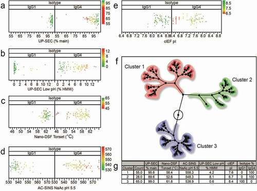 Figure 4. Distribution plots of selected physicochemical properties for panel 152 monoclonal antibodies segregated in IgG1 s and IgG4 s. a-% of main peak by UP-SEC after protein A purification b- % of main peak by UP-SEC after low pH stress, c- Tonset by nano DSF, λmax shift by AC-SINS in acetate pH 5.5, e- pI by cIEF. Color of the dots in Figure 4 a-e indicates different molecules properties: green color indicates % of mean peak by UP-SEC >95%, Tonset >65°C, λmax by AC-SINS <540 nm, (pI>7.5) f- dendrogram of properties for mAb panel segregated by isotype (IgG1 s and IgG4 s) g- Dendrogram highlighting three mAb clusters (Cluster 1, 2, and 3). 100% of IgG1s are found in cluster 3, while IgG4 s are found in clusters 1 and 2