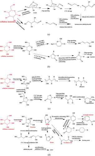 Figure 8. The formation pathways and networks of dominant chemicals during cellulose liquefaction (R=–OH, –H, –CH3, CH3CO–, CH3CH2–)