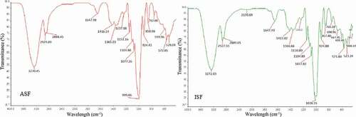 Figure 3. FTIR spectra of acha and iburu starch films (ASF and ISF, respectively).Figura 3. Espectros FTIR de las películas de almidón de acha e iburu (ASF e ISF, respectivamente)