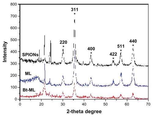 Figure 3 X-ray diffraction pattern of SPIONs, ML, and Bt-ML.Abbreviations: SPIONs, superparamagnetic iron oxide nanoparticles; ML, magnetoliposomes; Bt-ML, biotinylated magnetoliposomes.